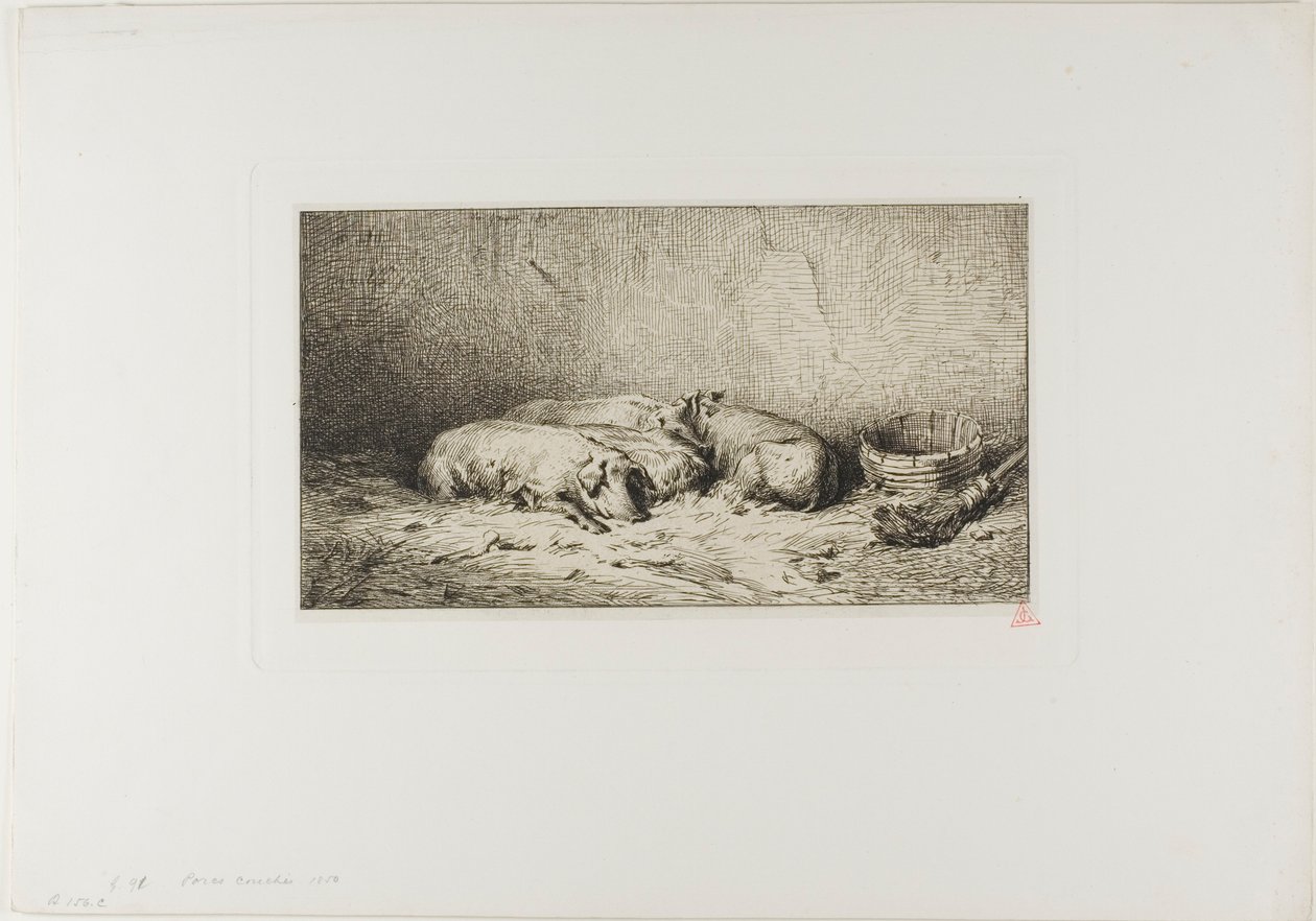 Fyra sovande grisar av Charles Emile Jacque
