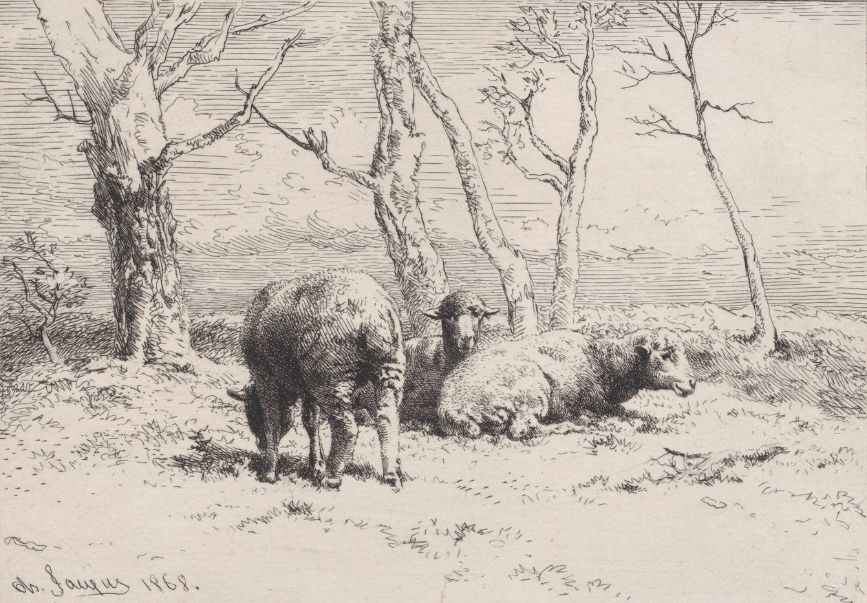 Får, 1868. av Charles Emile Jacque