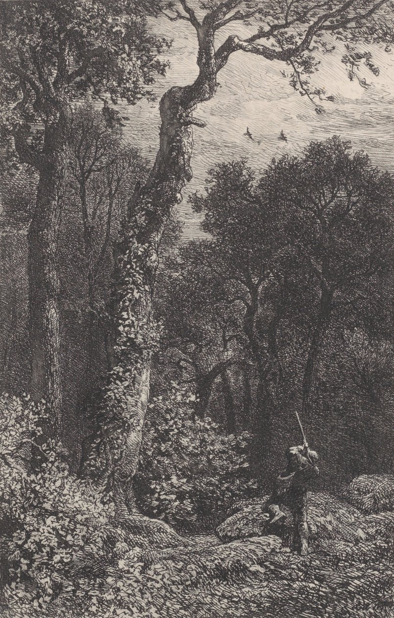 Att skjuta en skogstupp, 1864. av Charles Emile Jacque