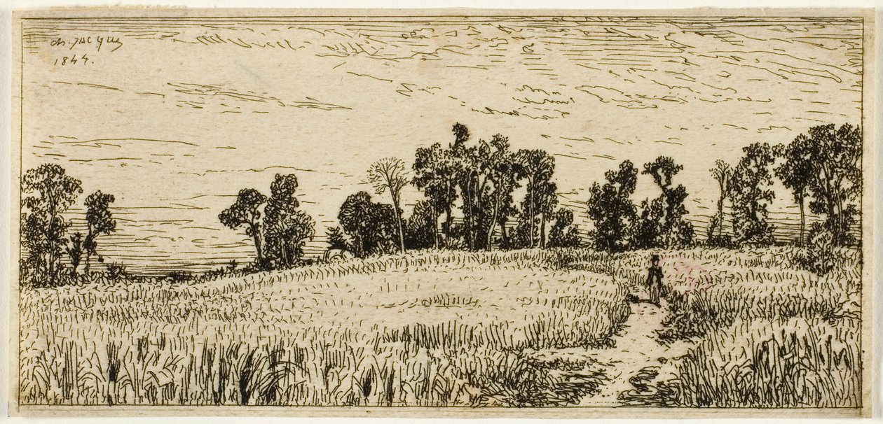 Vete fält av Charles Emile Jacque