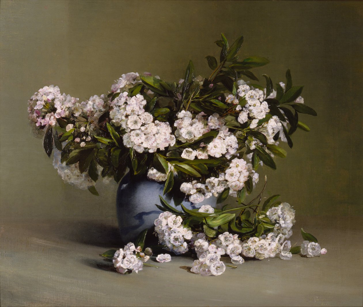 Mountain Laurel av Charles Ethan Porter
