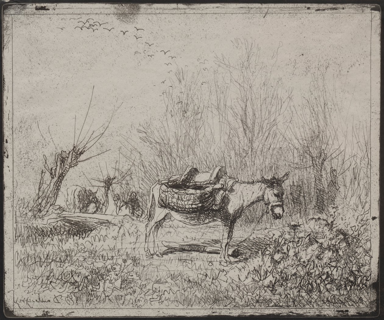 En åsna i fältet av Charles Francois Daubigny