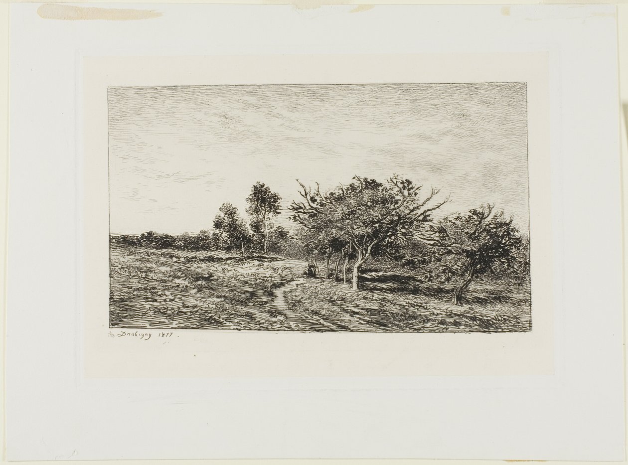 Äppelträd i Auvers av Charles Francois Daubigny