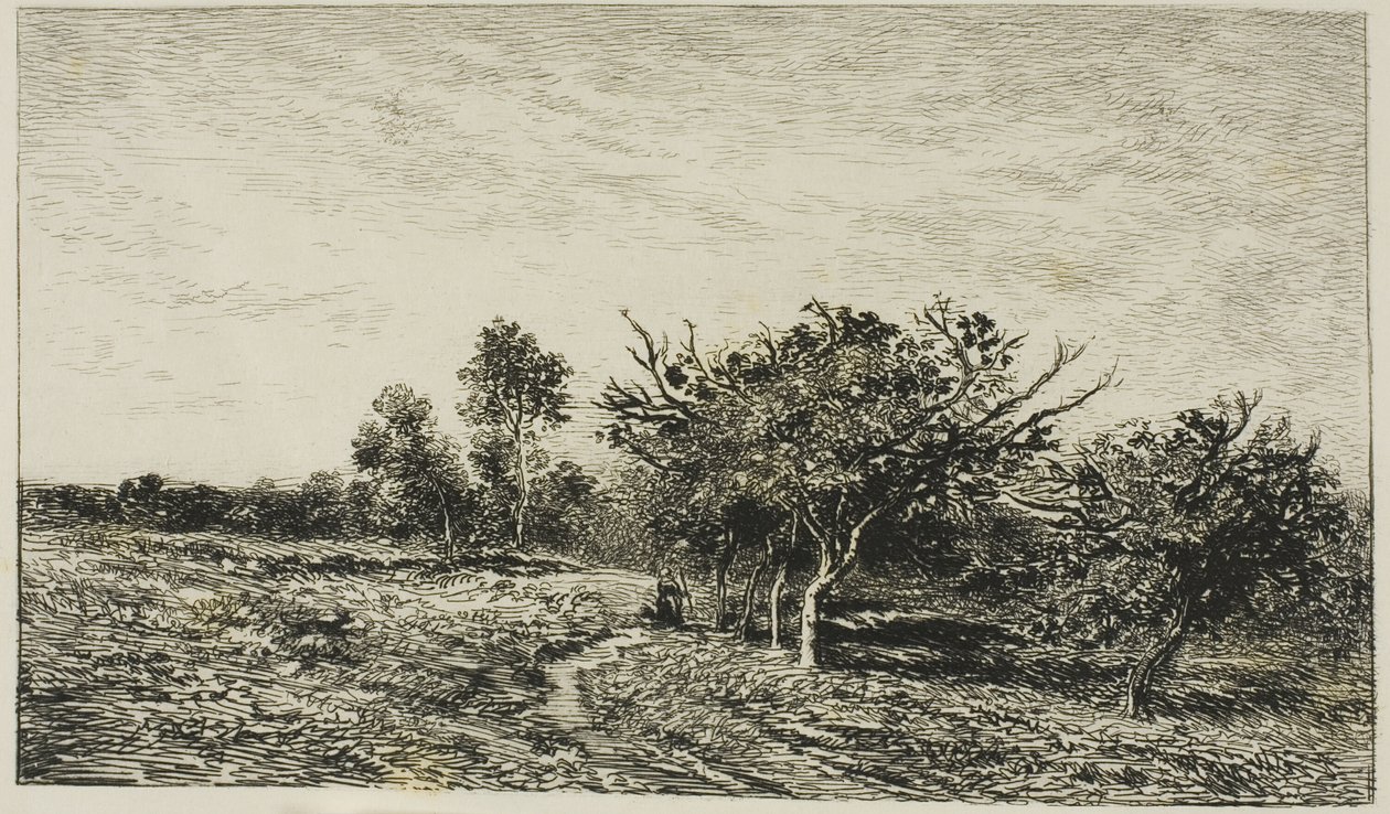 Äppelträd i Auvers av Charles Francois Daubigny