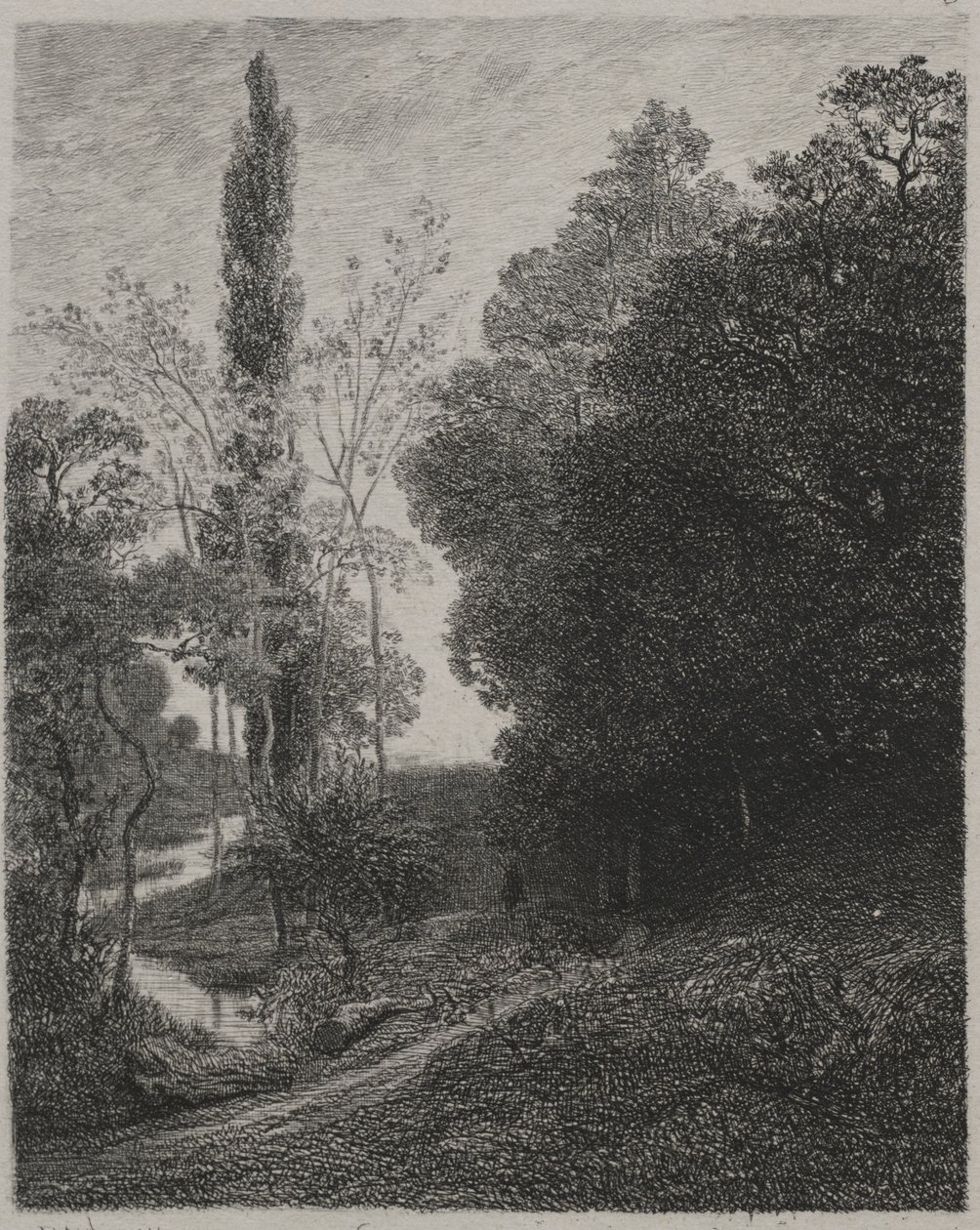 Banken av floden Cousin av Charles Francois Daubigny