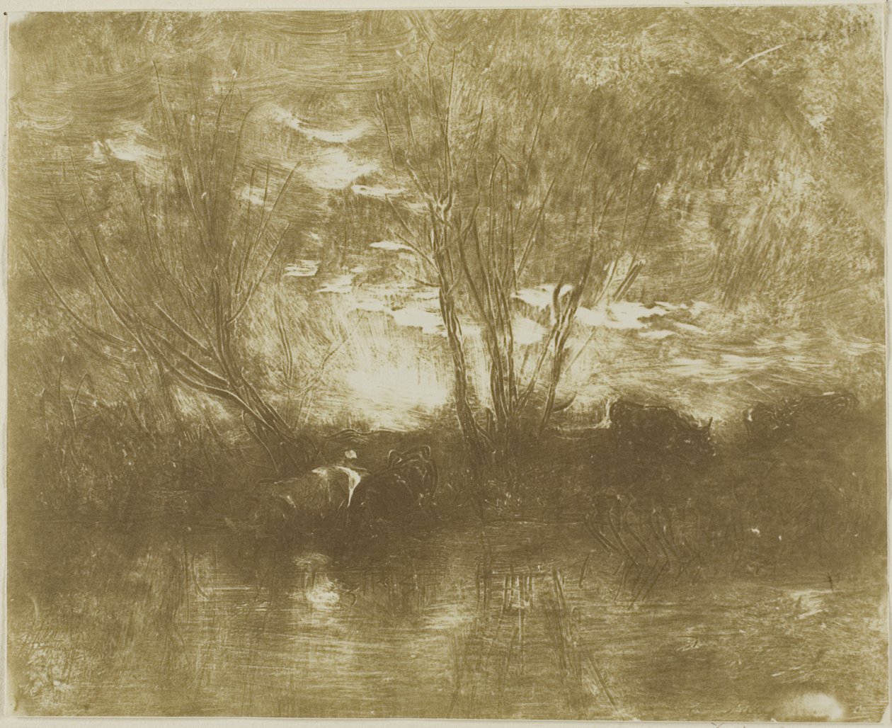Kor på vattningsplatsen av Charles Francois Daubigny