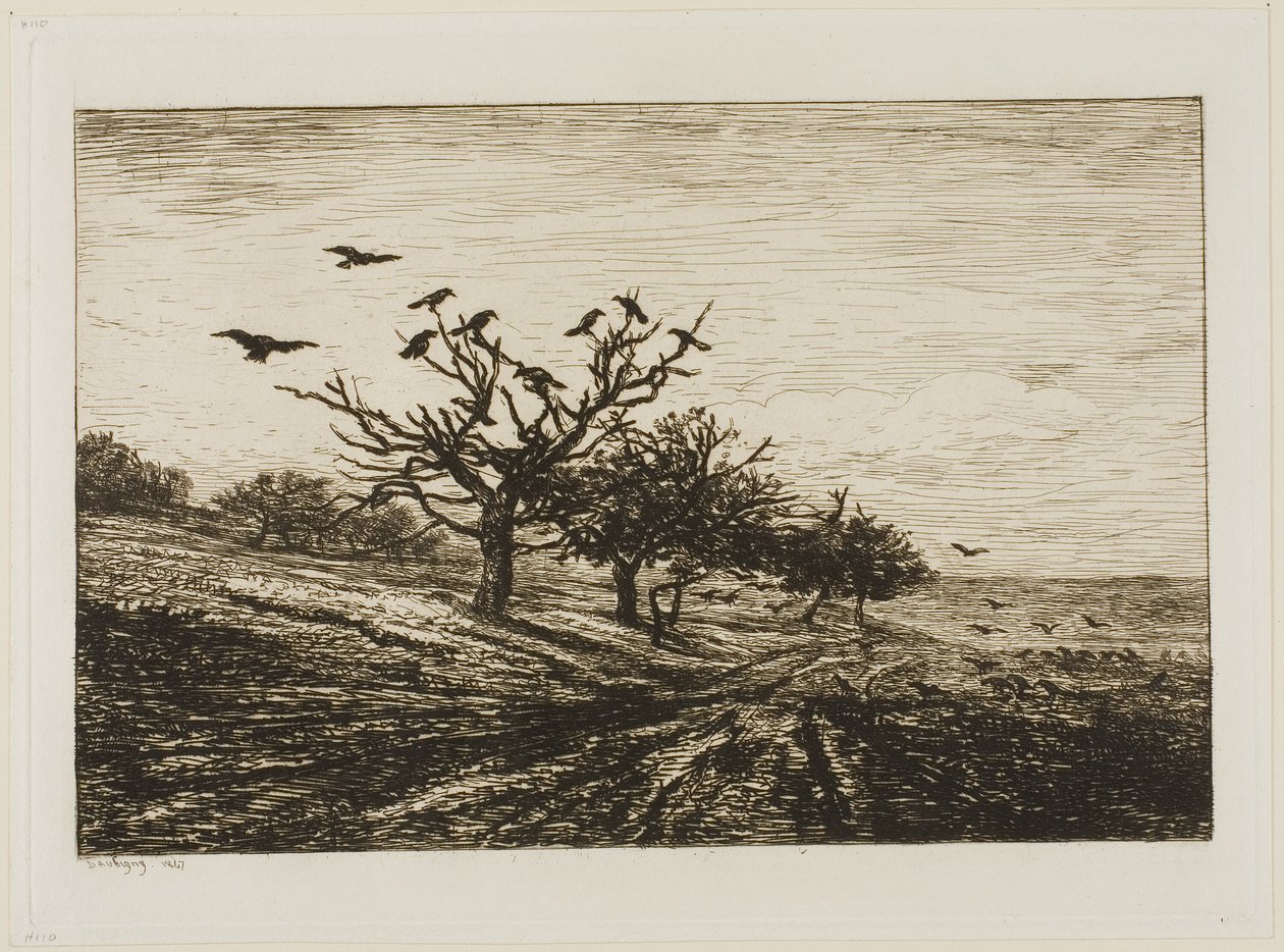 Kråkor i ett träd av Charles Francois Daubigny