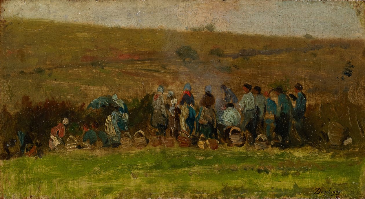 Bönder som skördar potatis (olja på ek) av Charles Francois Daubigny