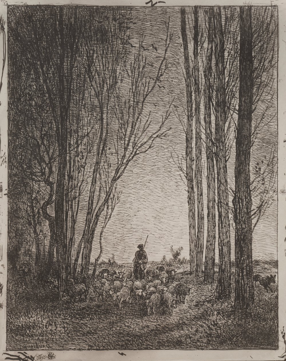 Samling i flocken av Charles Francois Daubigny