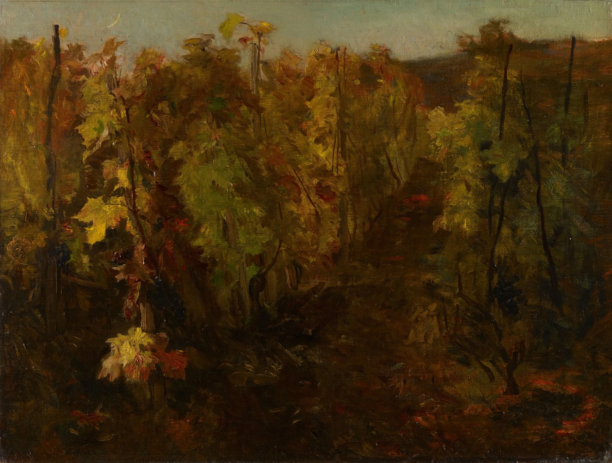 Vinrankan, 1860-1863. av Charles Francois Daubigny