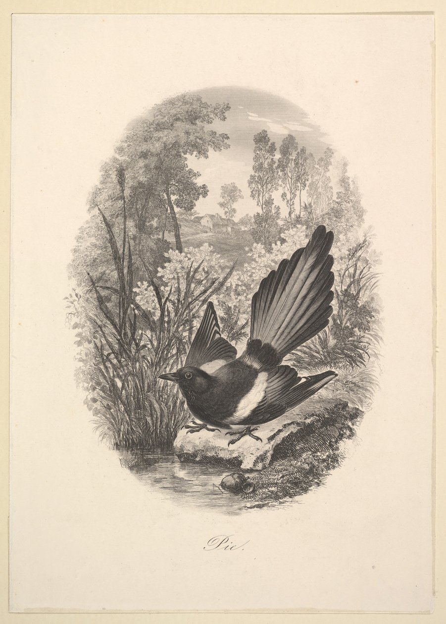 Skata, 1843. av Charles Francois Daubigny