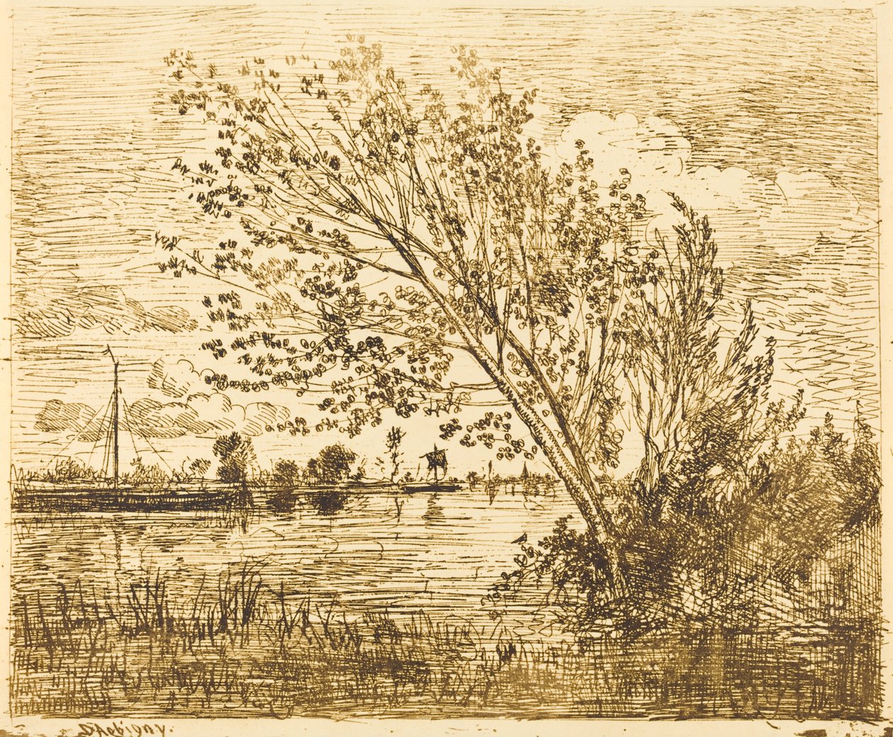 Stand of Alders av Charles Francois Daubigny