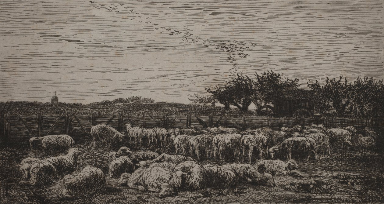 Den stora fårfållan, 1860. av Charles Francois Daubigny