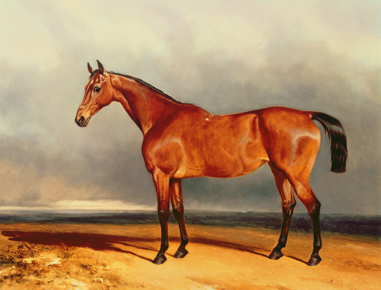Bay Hunter av Charles Hancock
