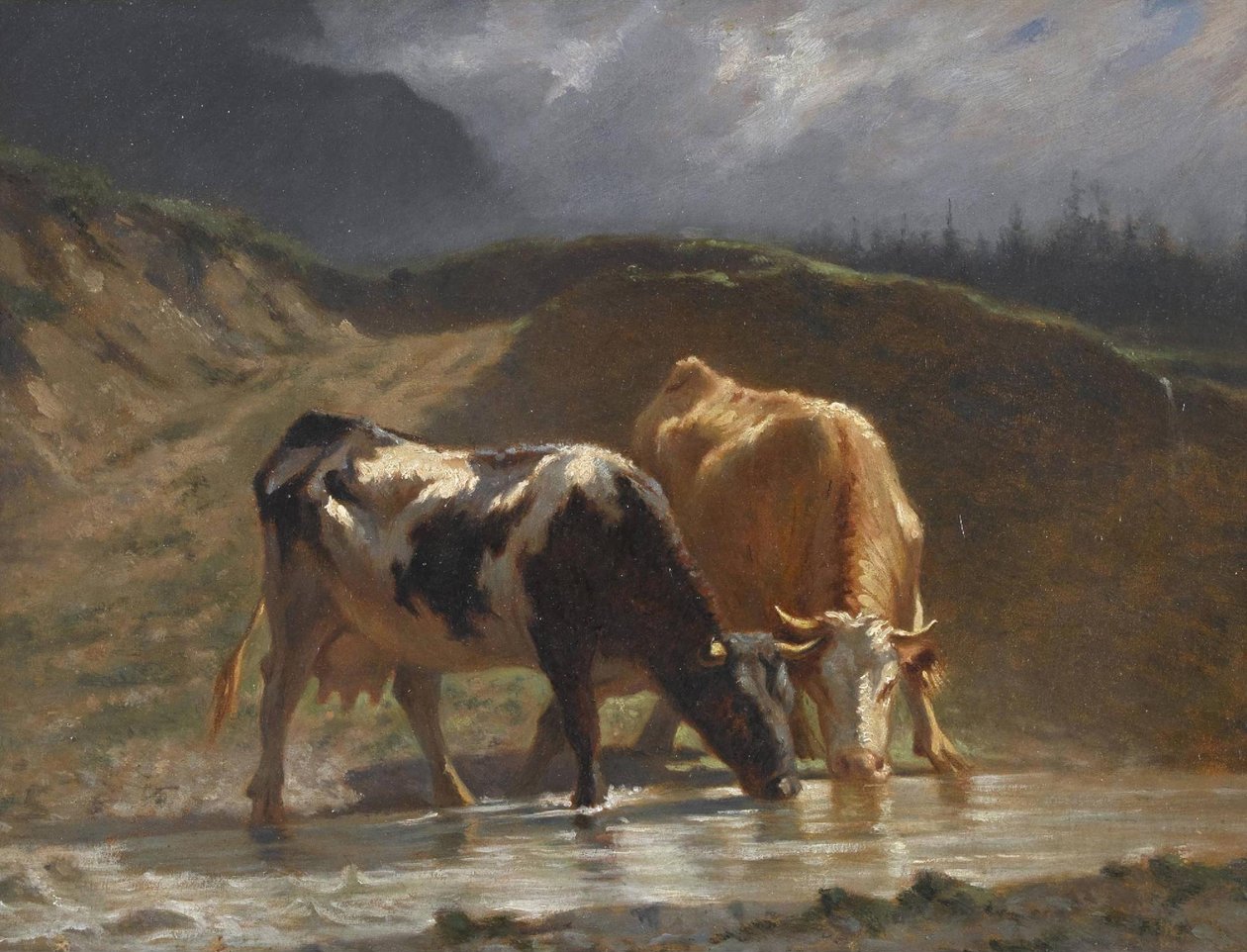 Kor vid vattning av Charles Humbert