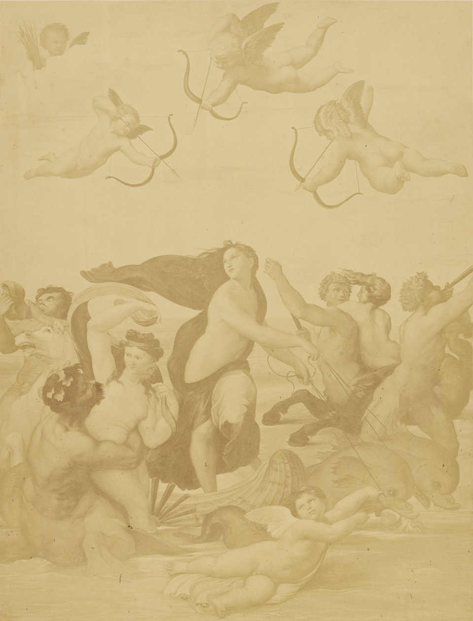 [Reproduktion av Galatea av Raphaël] av Charles Marville