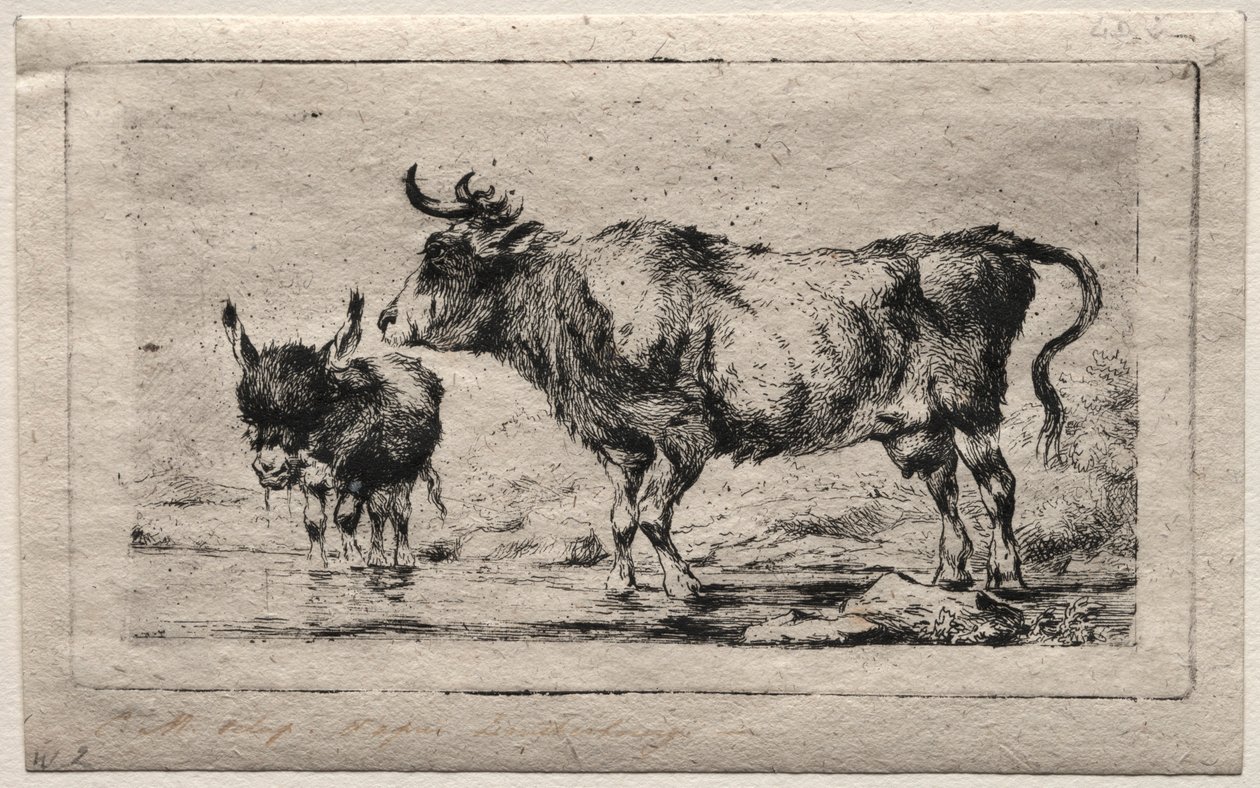 Ko och åsna, 1849. av Charles Meryon