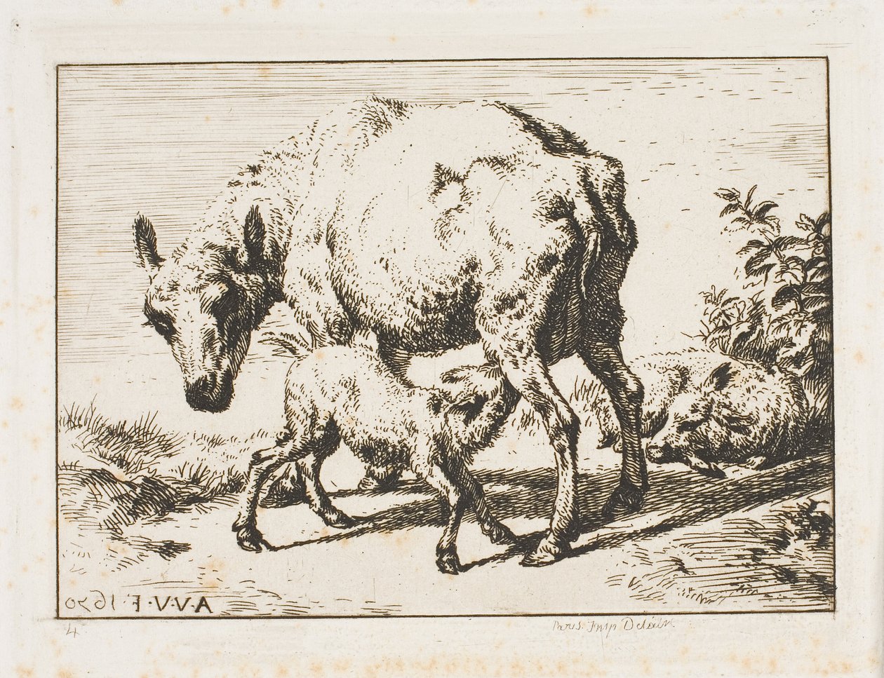 Tackan med två lamm av Charles Meryon