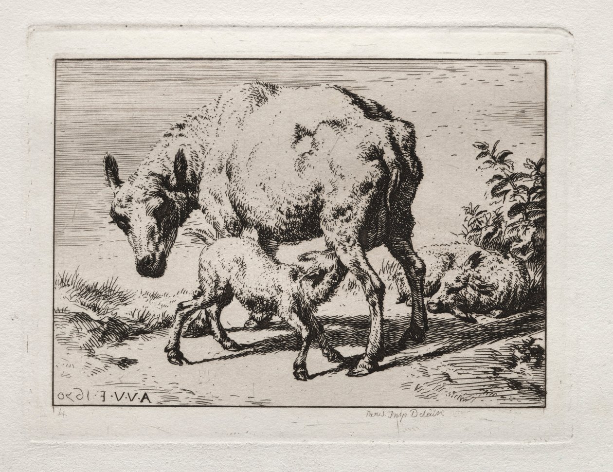 Tackan med två lamm, 1850. av Charles Meryon