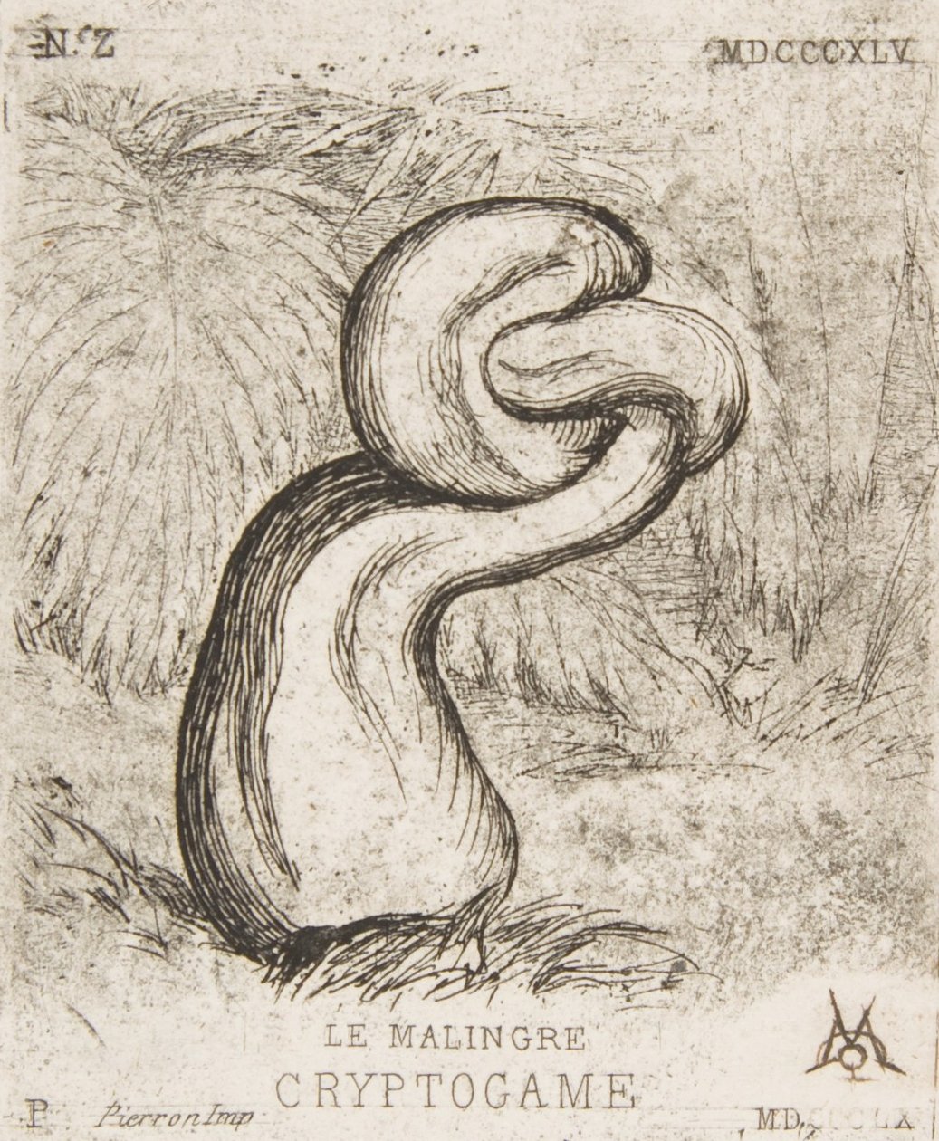 Den ynka kryptogamien, 1860. av Charles Meryon