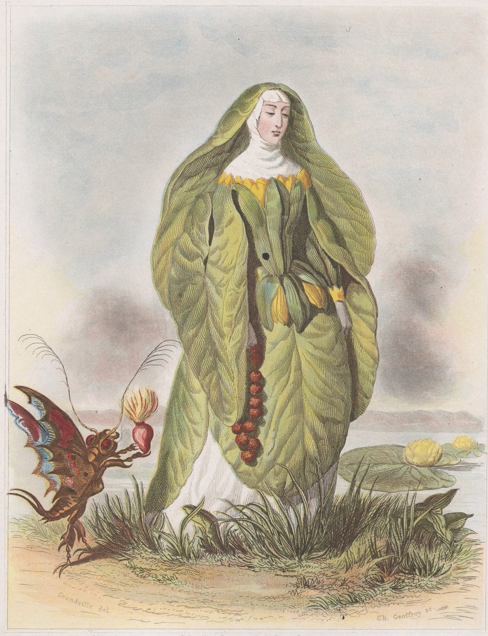 Näckros, från Les Fleurs Animées, 1847. av Charles Michel Geoffroy