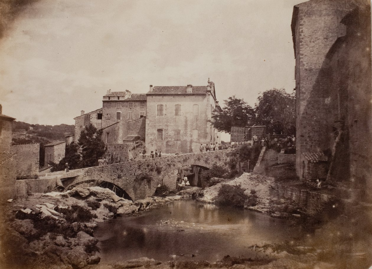 Grasse av Charles Nègre