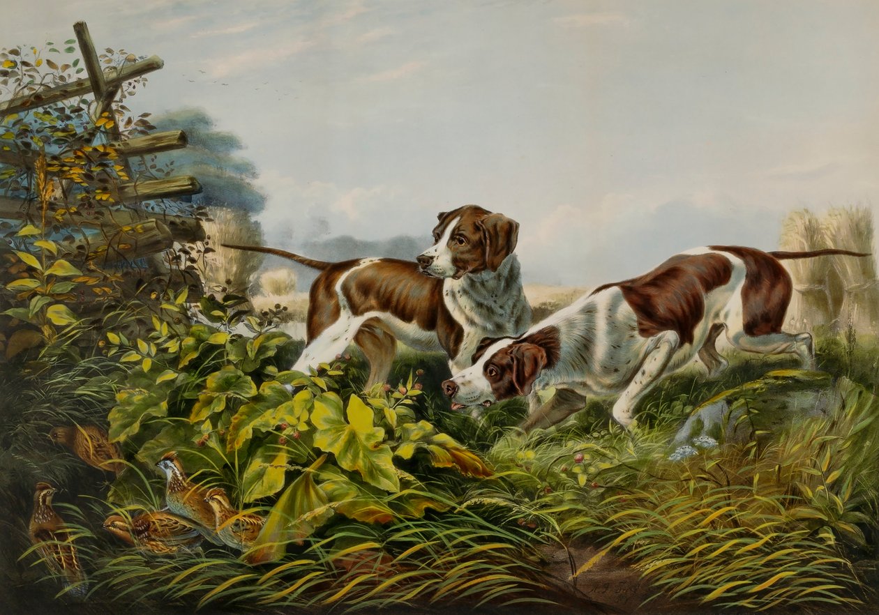 American Field Sports. "På en punkt." av Charles Parsons