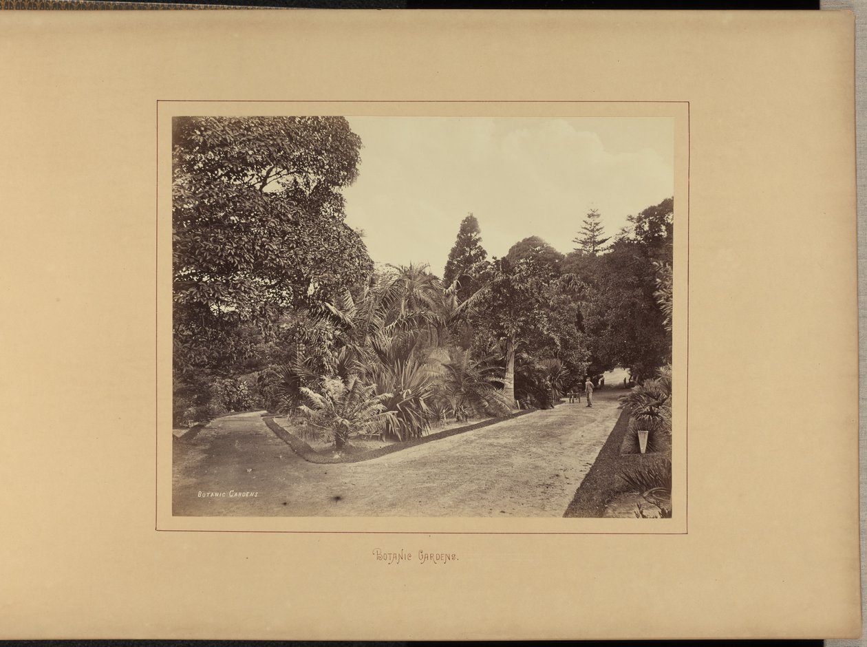 Botaniska trädgården av Charles Percy Pickering