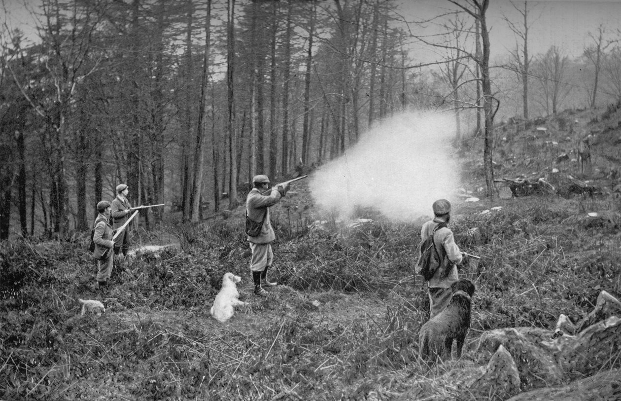 I The Coverts, c1902, 1903 av Charles Reid