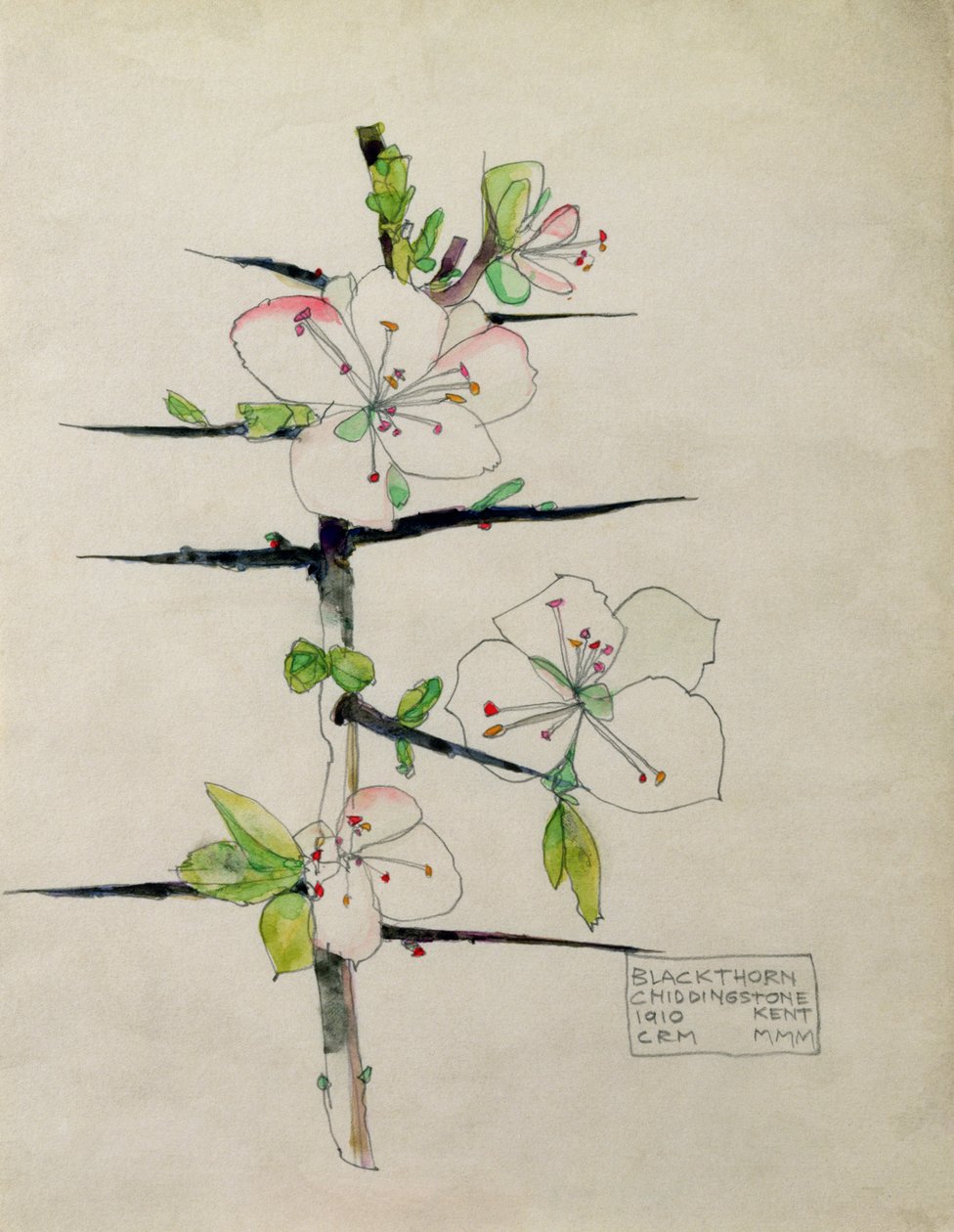 Blackthorn, Chiddingstone, Kent, 1910 (wc) av Charles Rennie Mackintosh