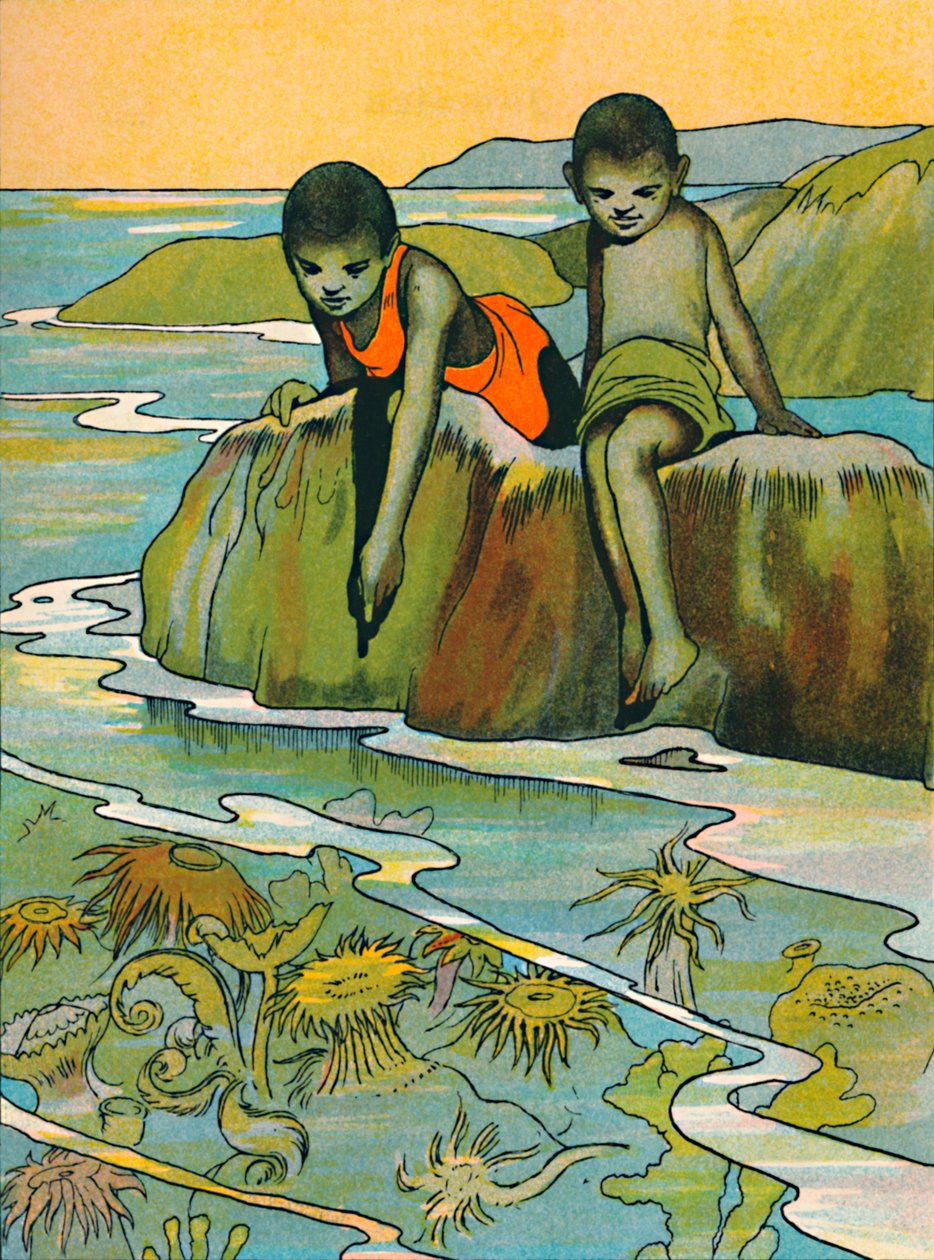 En trädgård i havet, 1912 av Charles Robinson