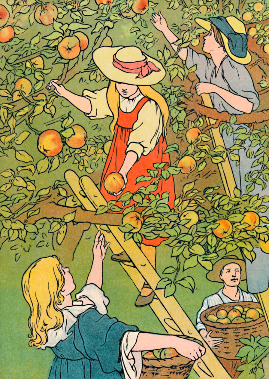 Plocka frukten, 1912 av Charles Robinson