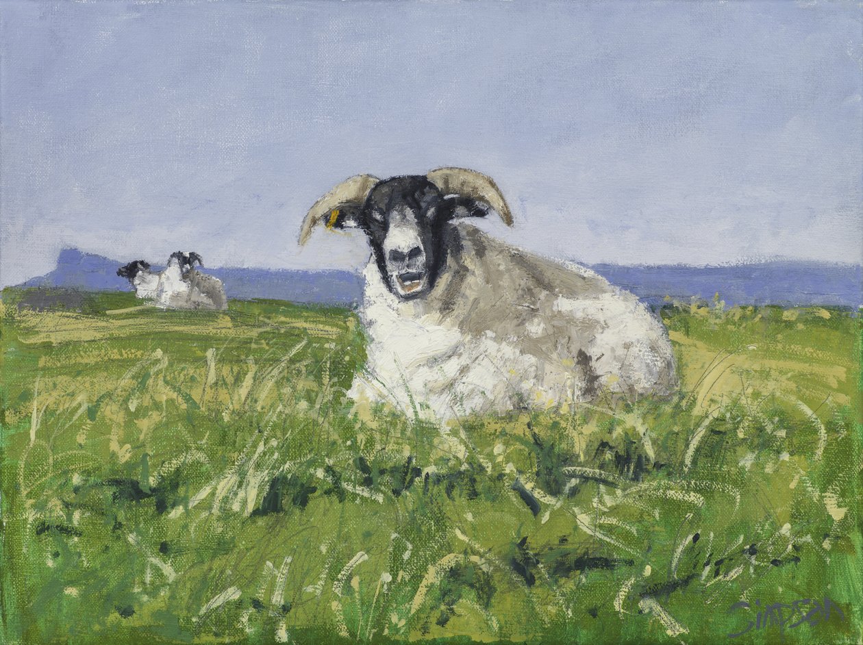 West Coast Sheep, 2017 (olja på duk) av Charles Simpson