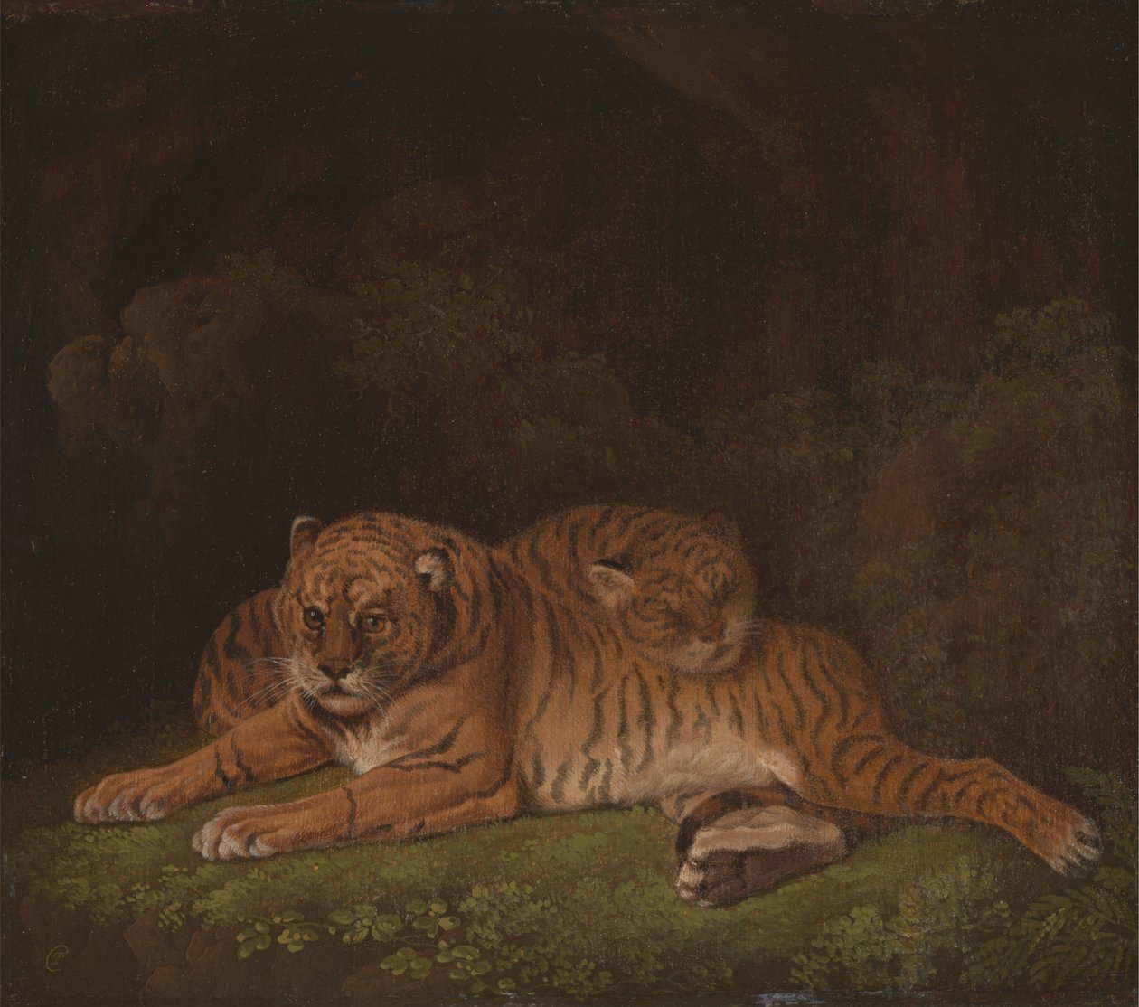 Tigrar av Charles Towne