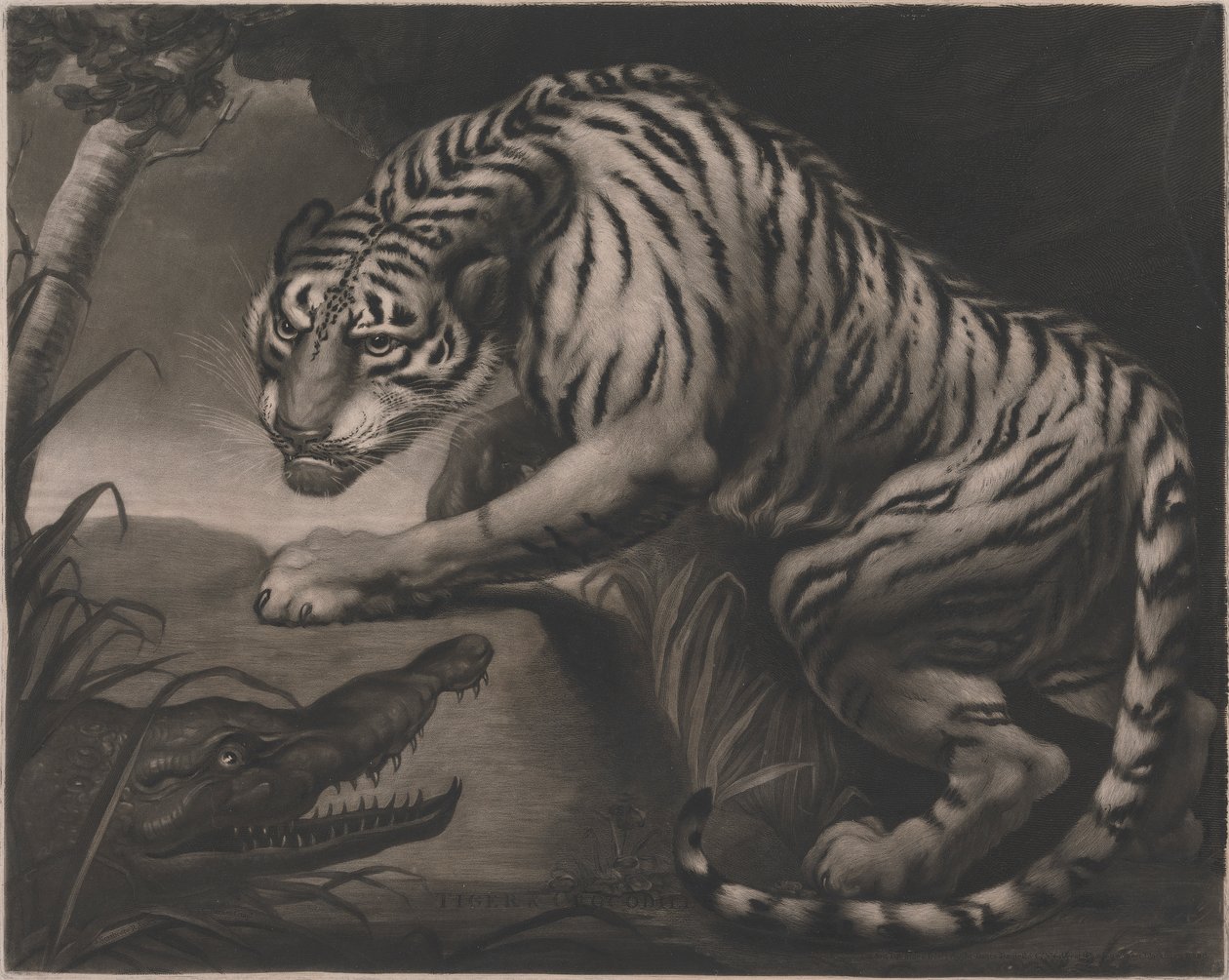 Tiger och krokodil av Charles Turner