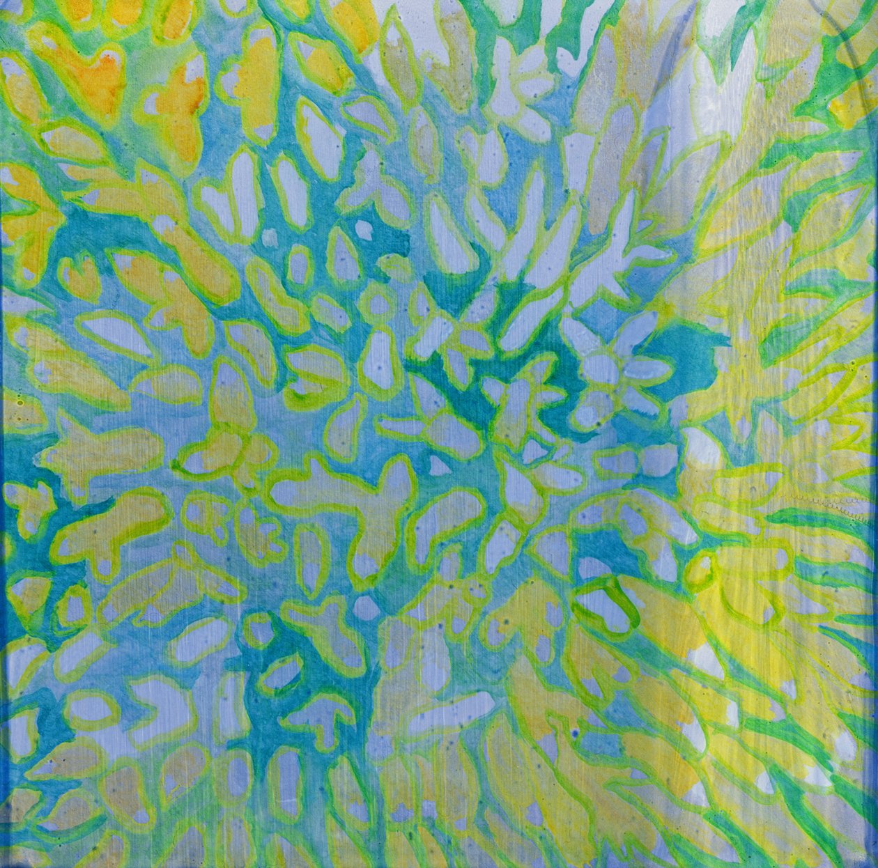 Acrapora, 2000 (olja på gesso) av Charlotte Johnstone