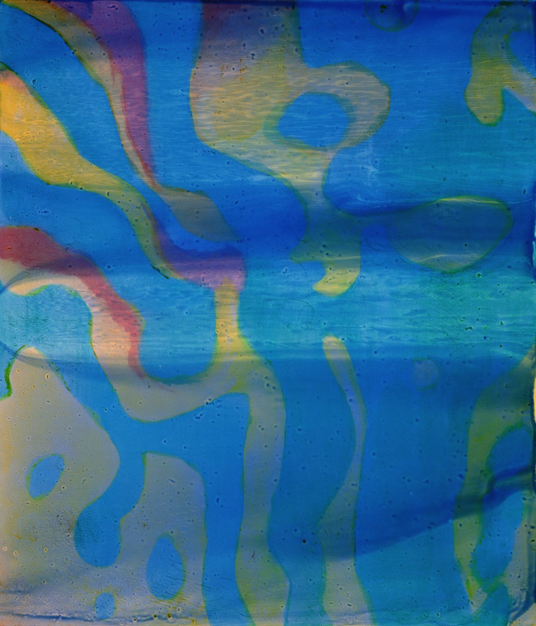Indian Swarthy, 2000 (olja på gesso) av Charlotte Johnstone