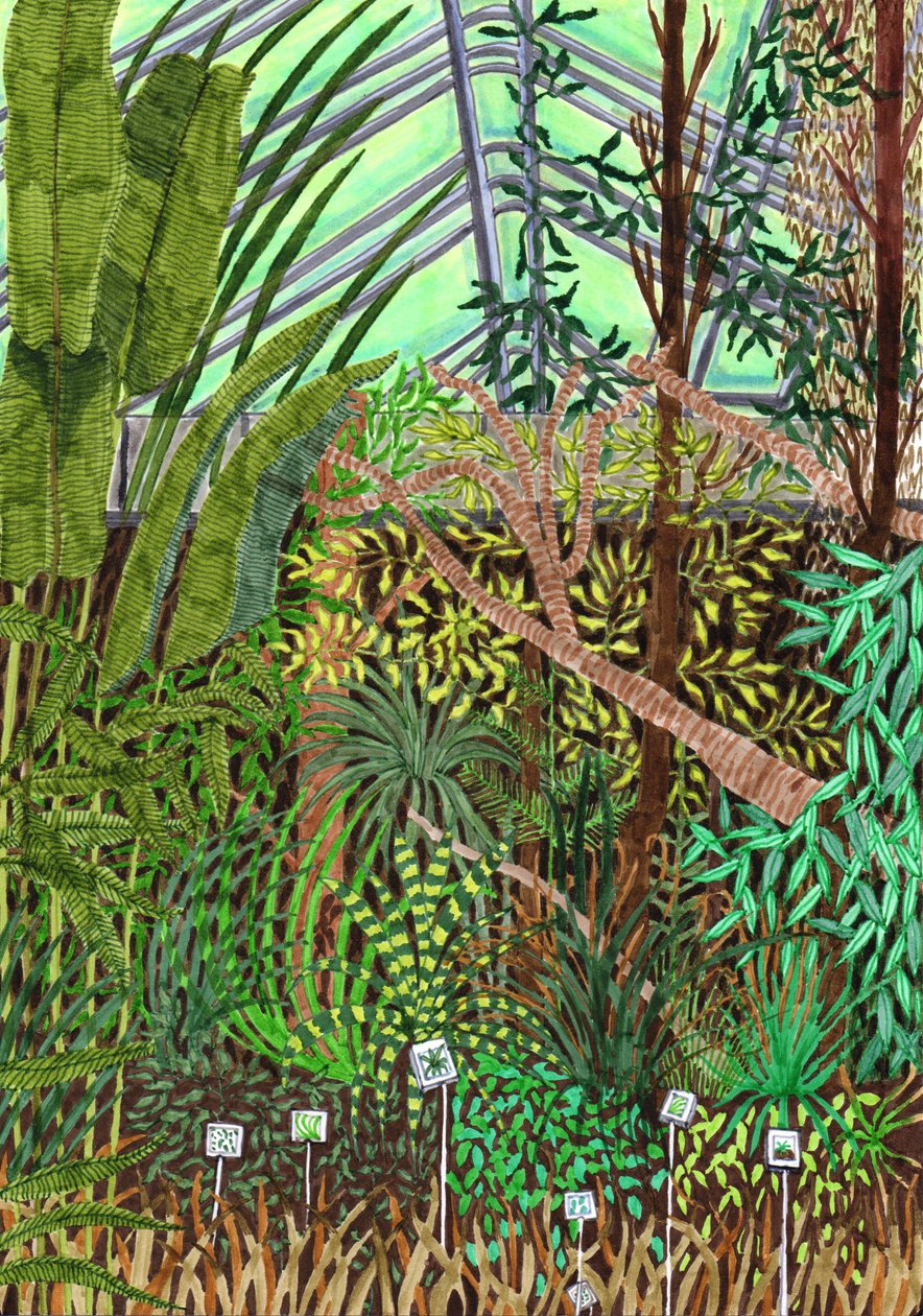 Botaniska trädgården, 2017 (penselpennor) av Charlotte Orr