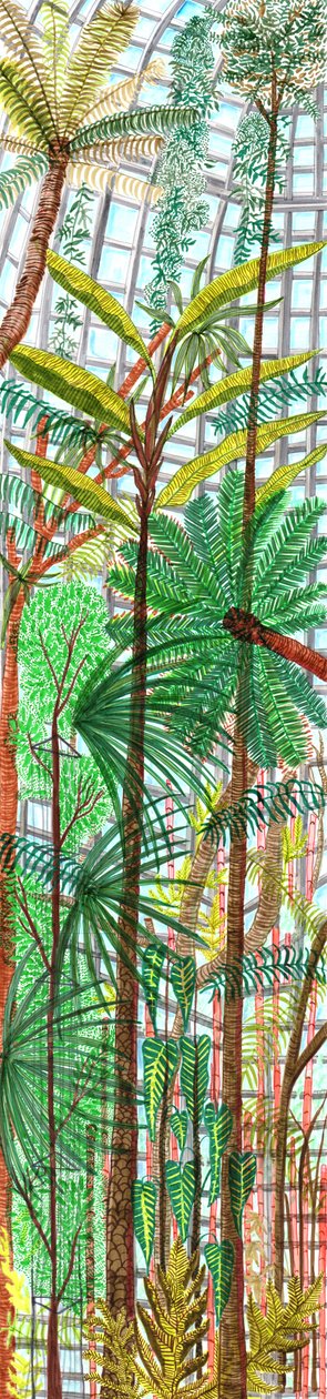 Botaniska trädgården, 2017 (penselpennor) av Charlotte Orr