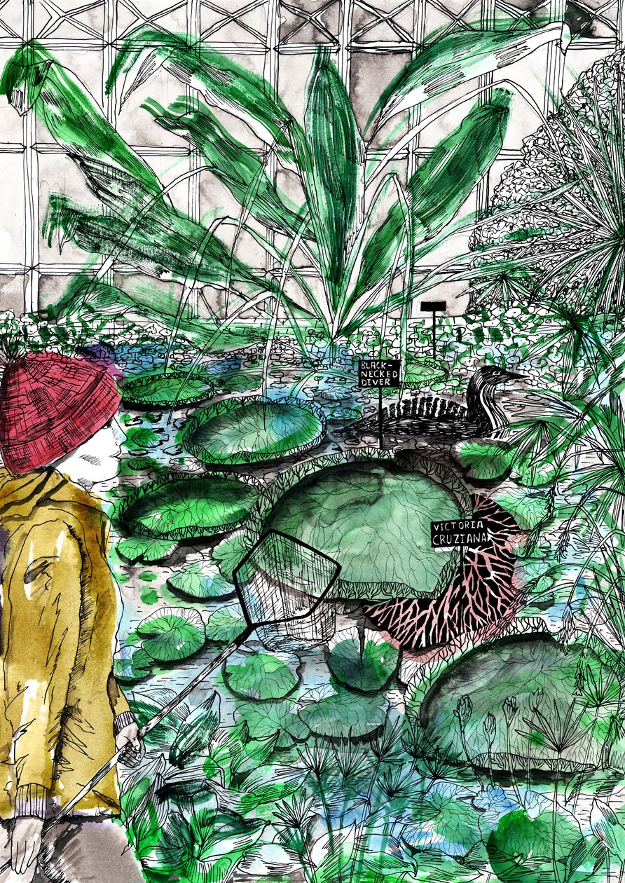 Oxford Botanic Garden, 2020 av Charlotte Orr
