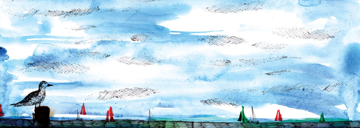 The Seagull