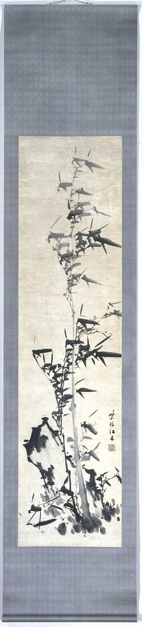 Bambu av Chiang Ting