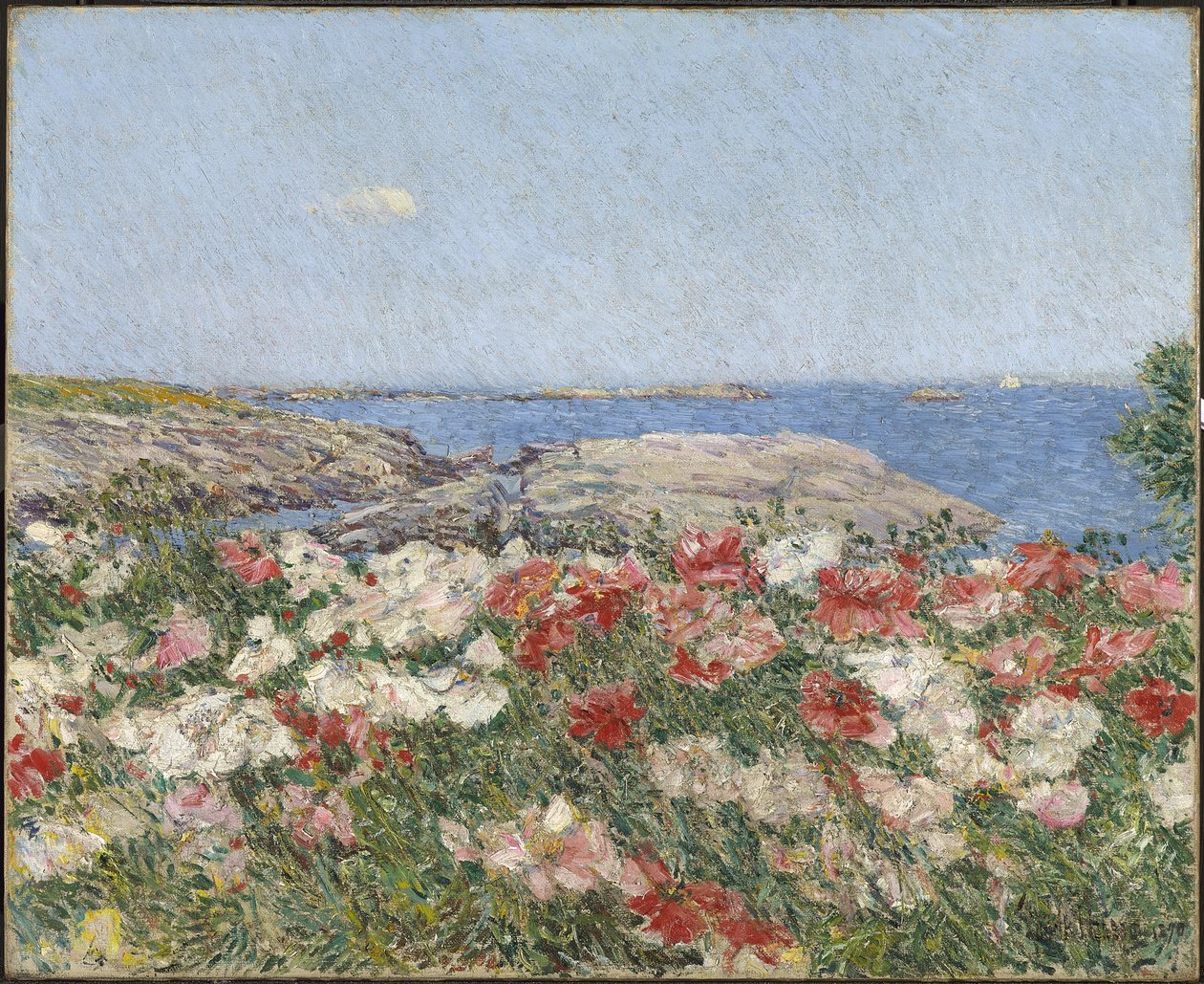 Vallmo på Isles of Shoals av Childe Frederick Hassam