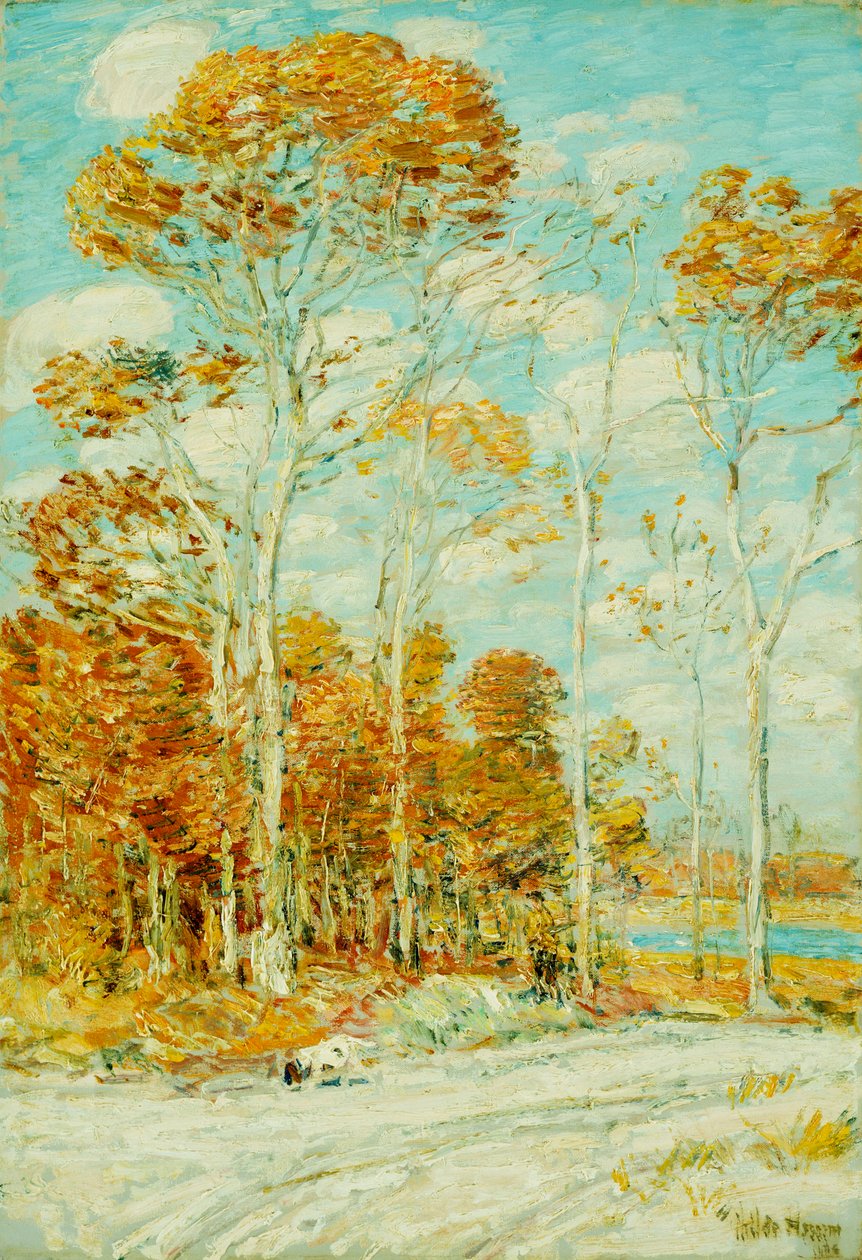 Hökboet av Childe Frederick Hassam