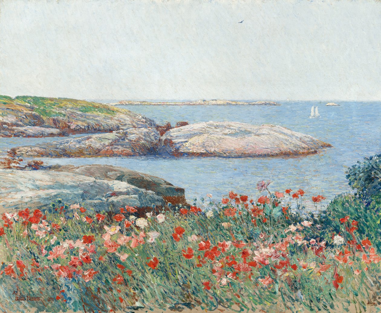 Vallmo, Isles of Shoals av Childe Hassam