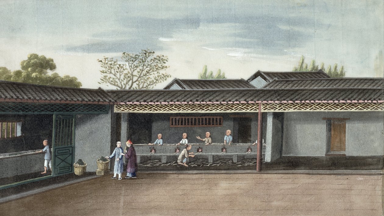 Torkning av teblad (wc på papper) av Chinese School