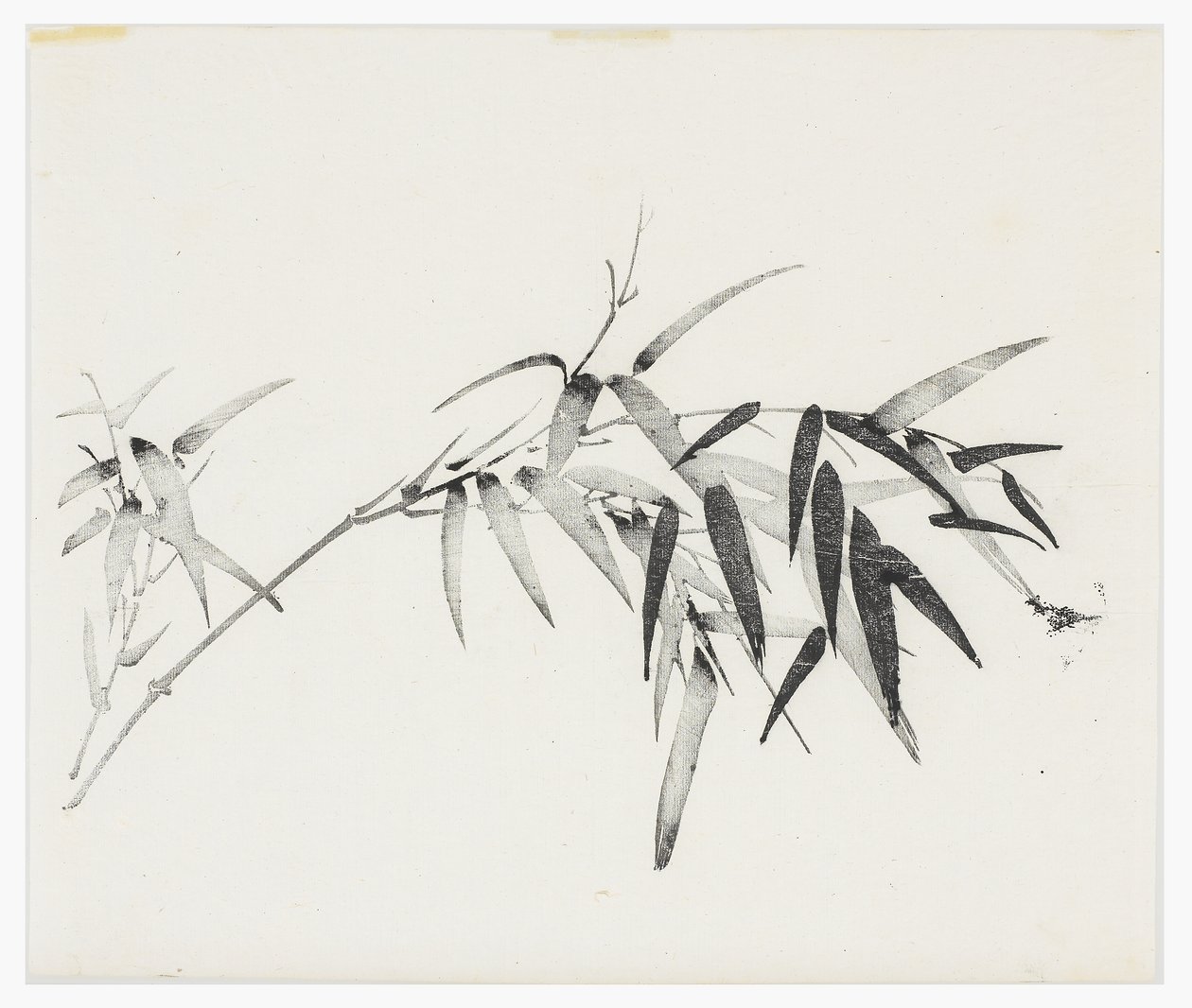 Tio bambuserier, 1700-tal av Chinese School