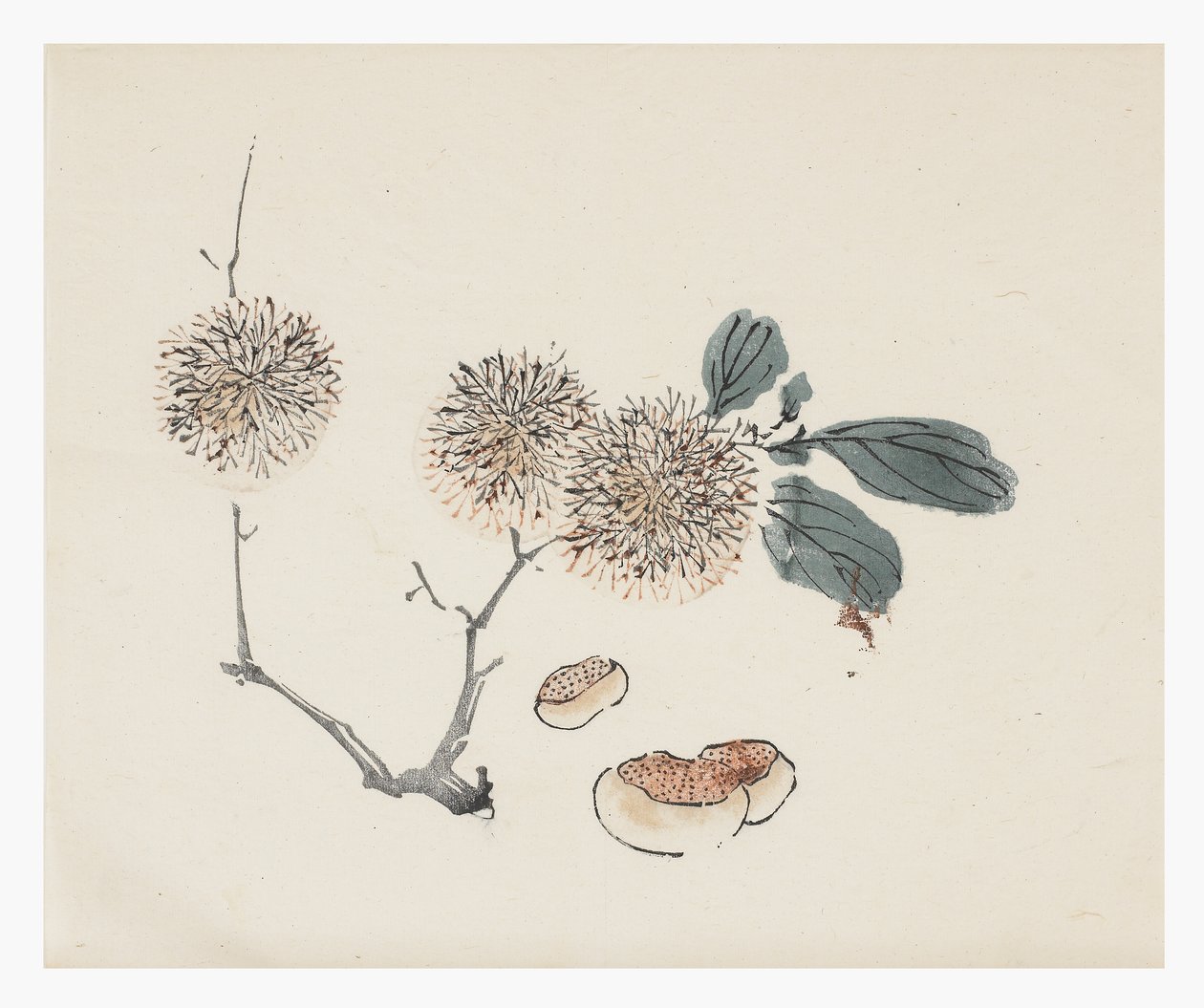 Tio bambuserier, 1700-tal av Chinese School