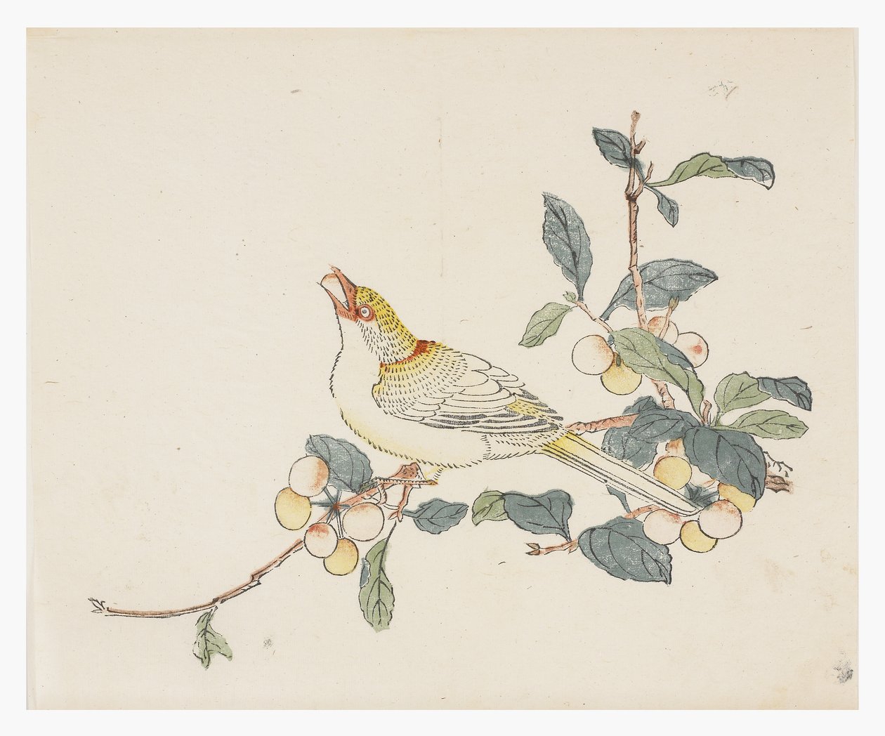 Tio bambuserier, 1700-tal av Chinese School