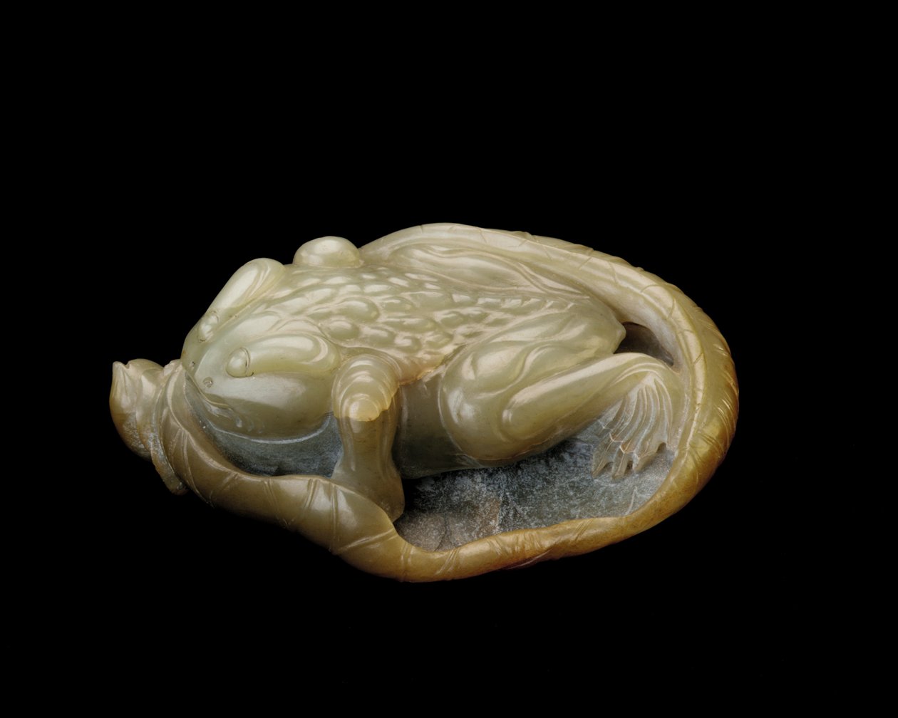 Padda på ett lotusblad, 1500-1700 av Chinese School